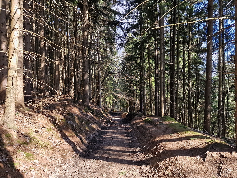 Jesenovo - Čemšeniška planina, 1. 3. 2026