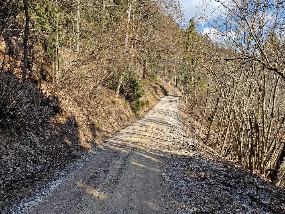 Jesenovo - Čemšeniška planina, 1. 3. 2026