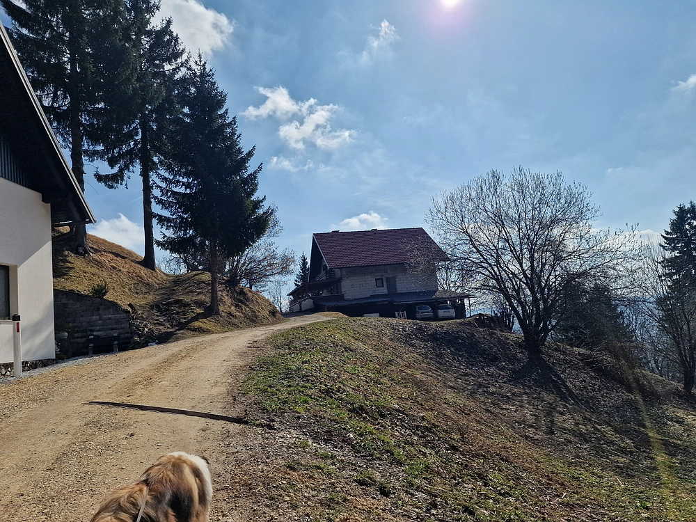 Jesenovo - Čemšeniška planina, 1. 3. 2026