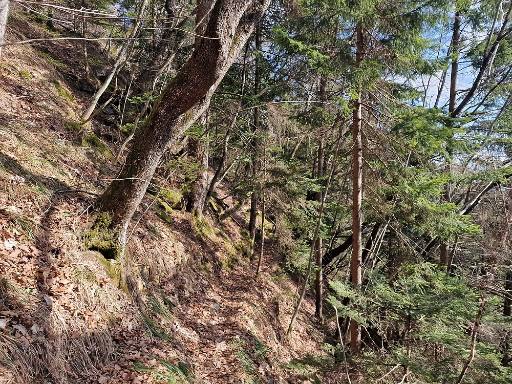 Jesenovo - Čemšeniška planina, 1. 3. 2026