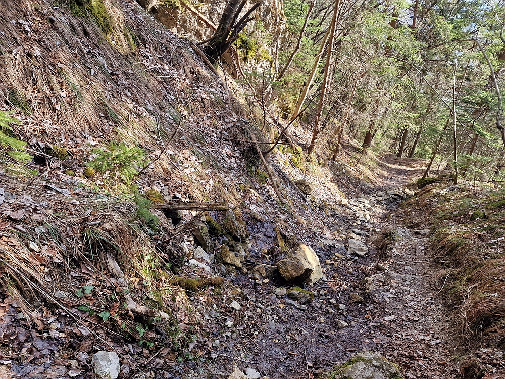 Jesenovo - Čemšeniška planina, 1. 3. 2026