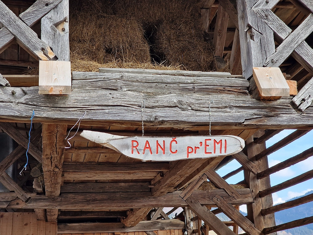 Jesenovo - Čemšeniška planina, 1. 3. 2026