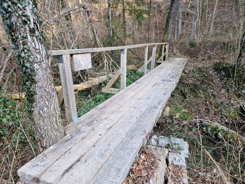 Kislica, Špičasti vrh, 8. 3. 2026