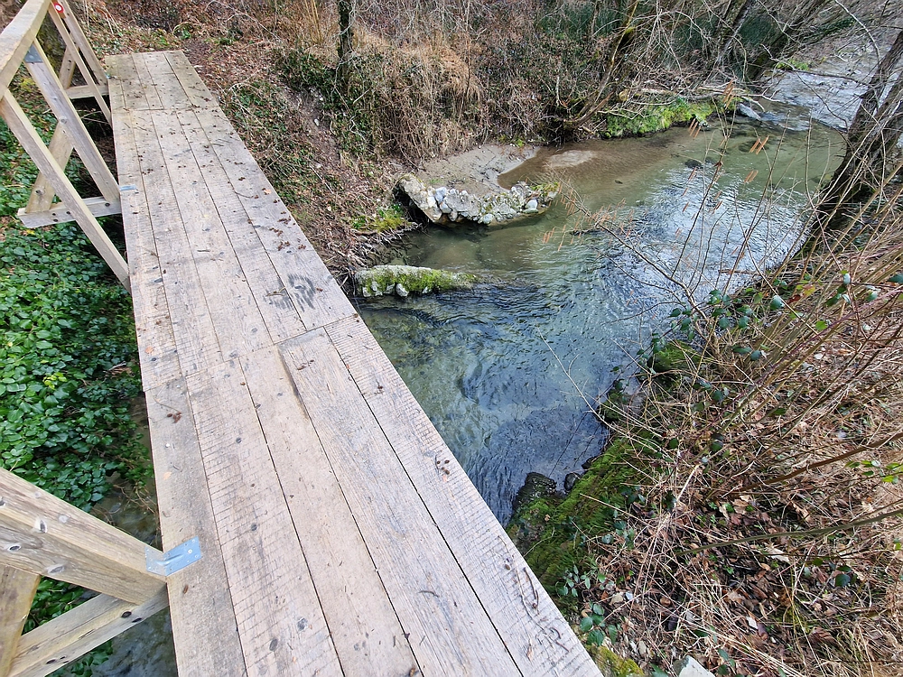 Kislica, Špičasti vrh, 8. 3. 2026