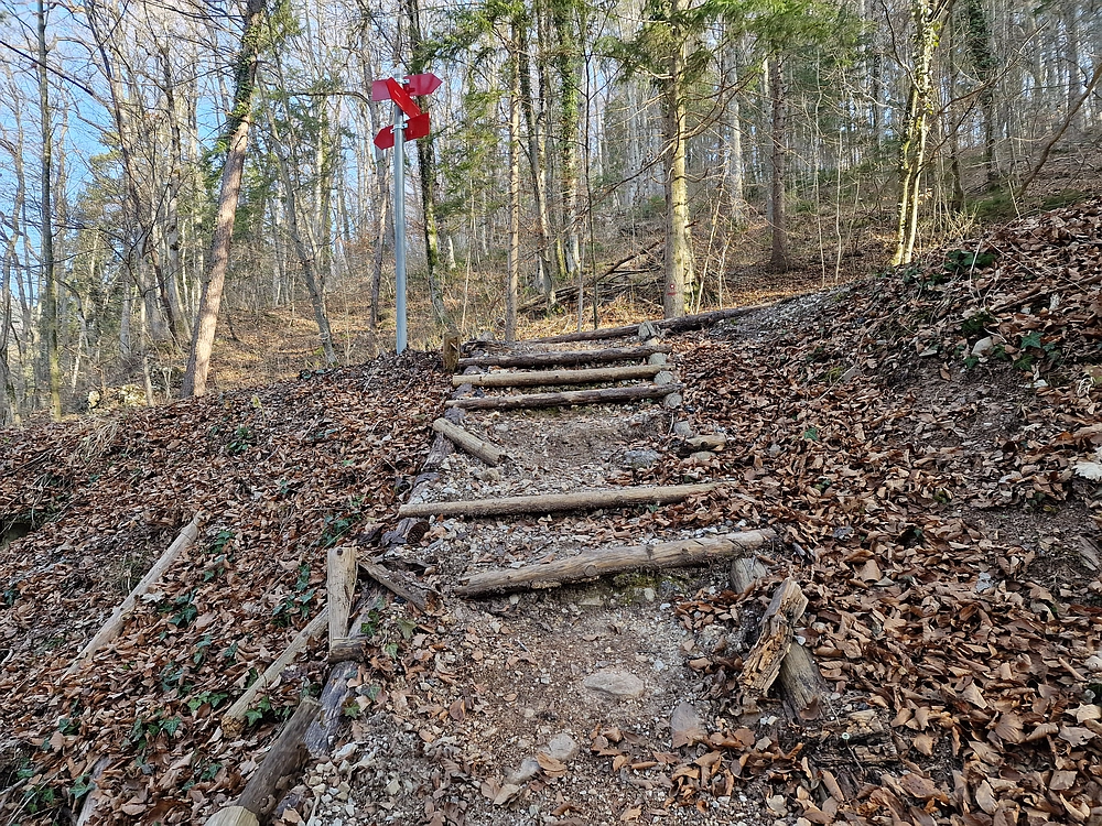 Kislica, Špičasti vrh, 8. 3. 2026