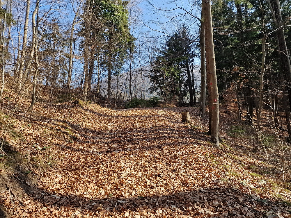 Kislica, Špičasti vrh, 8. 3. 2026