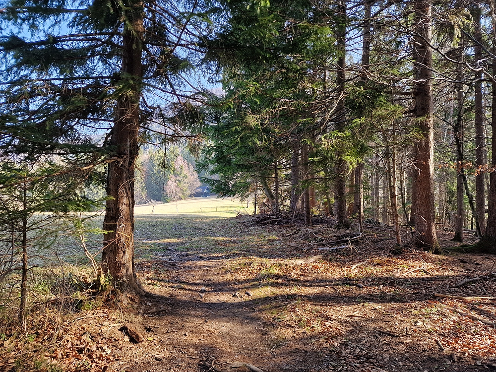Kislica, Špičasti vrh, 8. 3. 2026