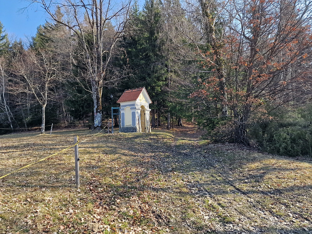 Kislica, Špičasti vrh, 8. 3. 2026