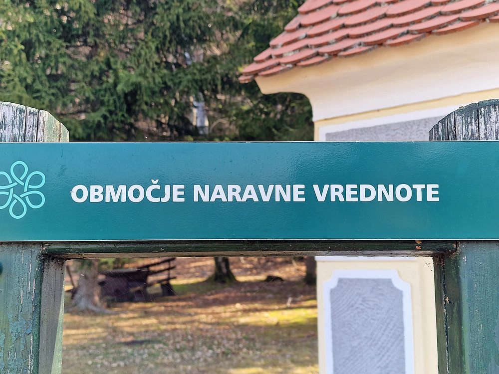 Kislica, Špičasti vrh, 8. 3. 2026