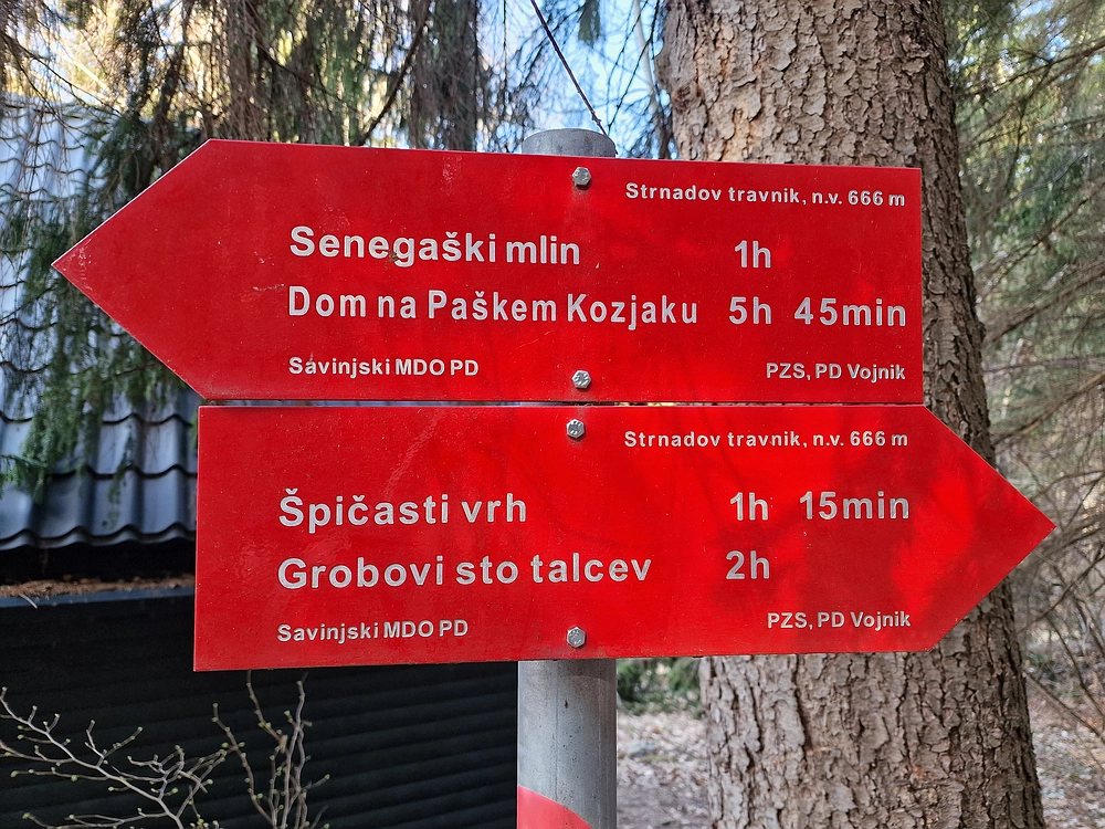 Kislica, Špičasti vrh, 8. 3. 2026