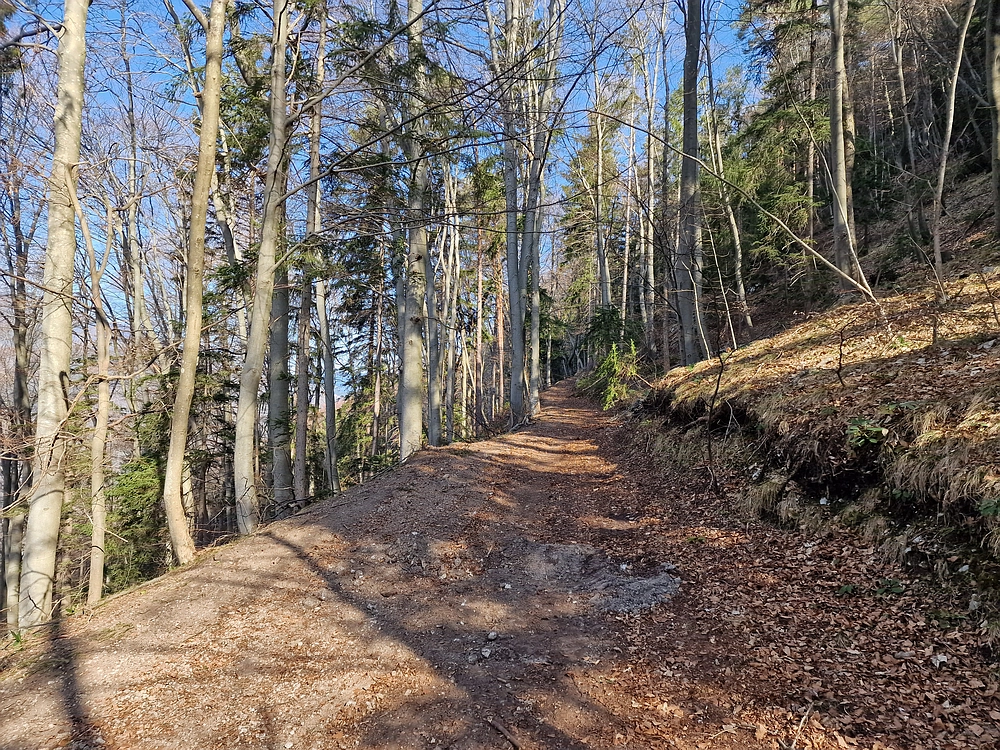 Kislica, Špičasti vrh, 8. 3. 2026