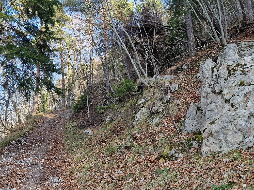 Kislica, Špičasti vrh, 8. 3. 2026