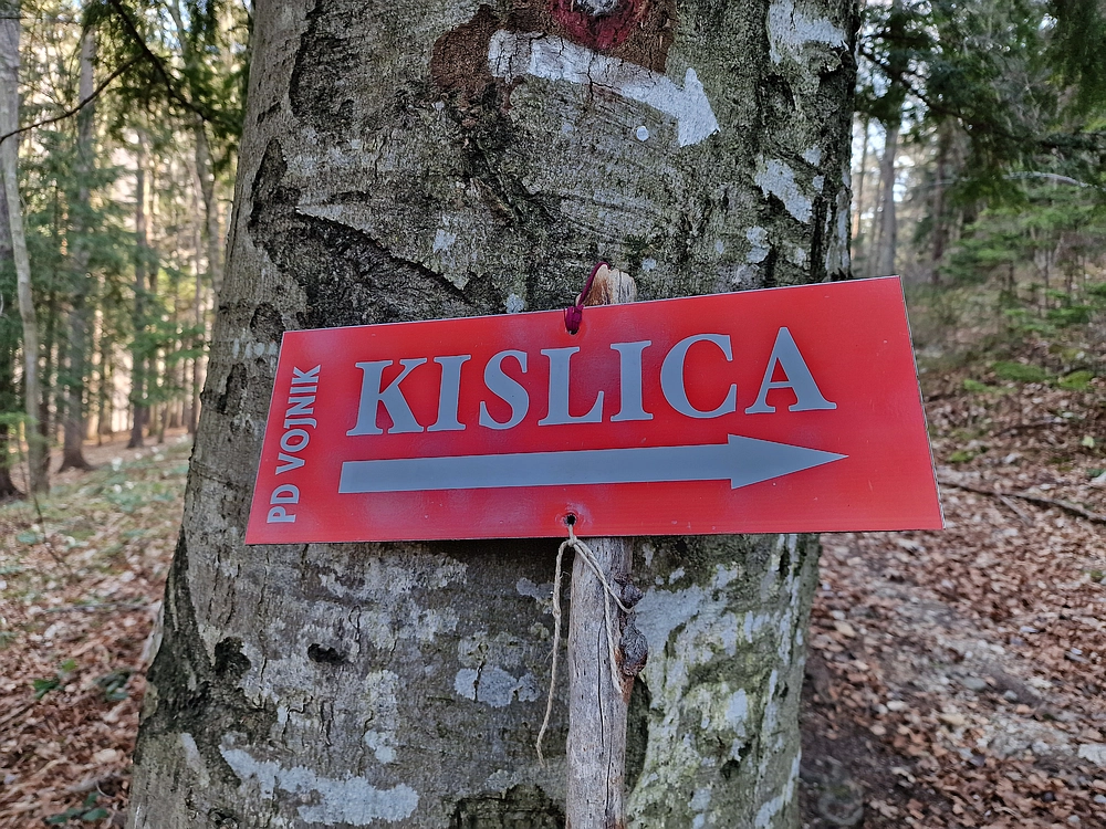 Kislica, Špičasti vrh, 8. 3. 2026