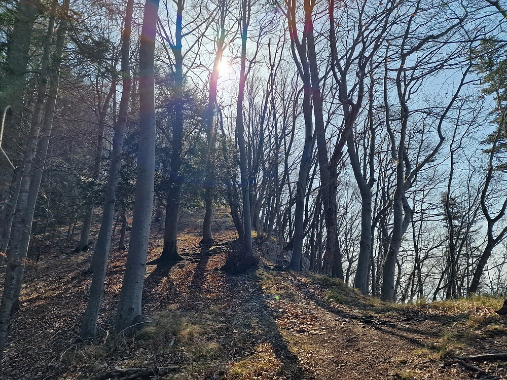 Kislica, Špičasti vrh, 8. 3. 2026