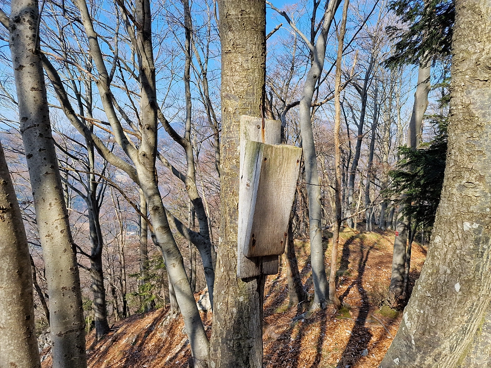 Kislica, Špičasti vrh, 8. 3. 2026