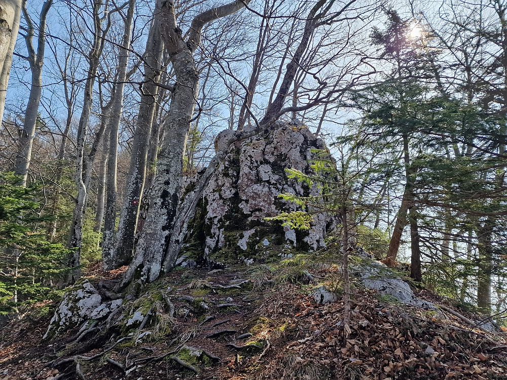 Kislica, Špičasti vrh, 8. 3. 2026