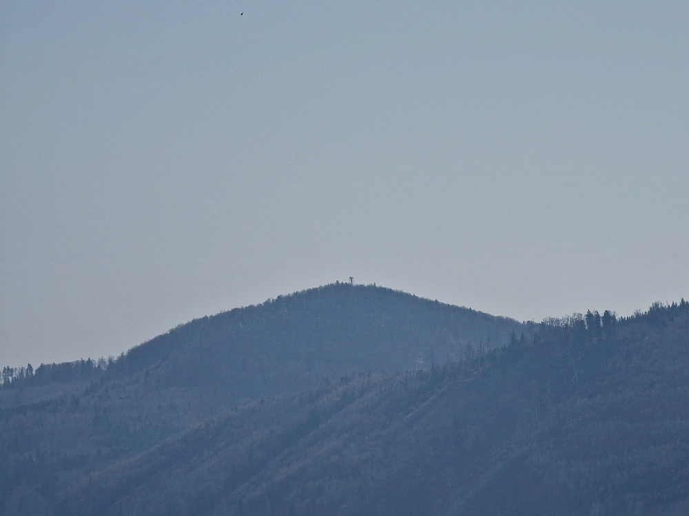 Kislica, Špičasti vrh, 8. 3. 2026