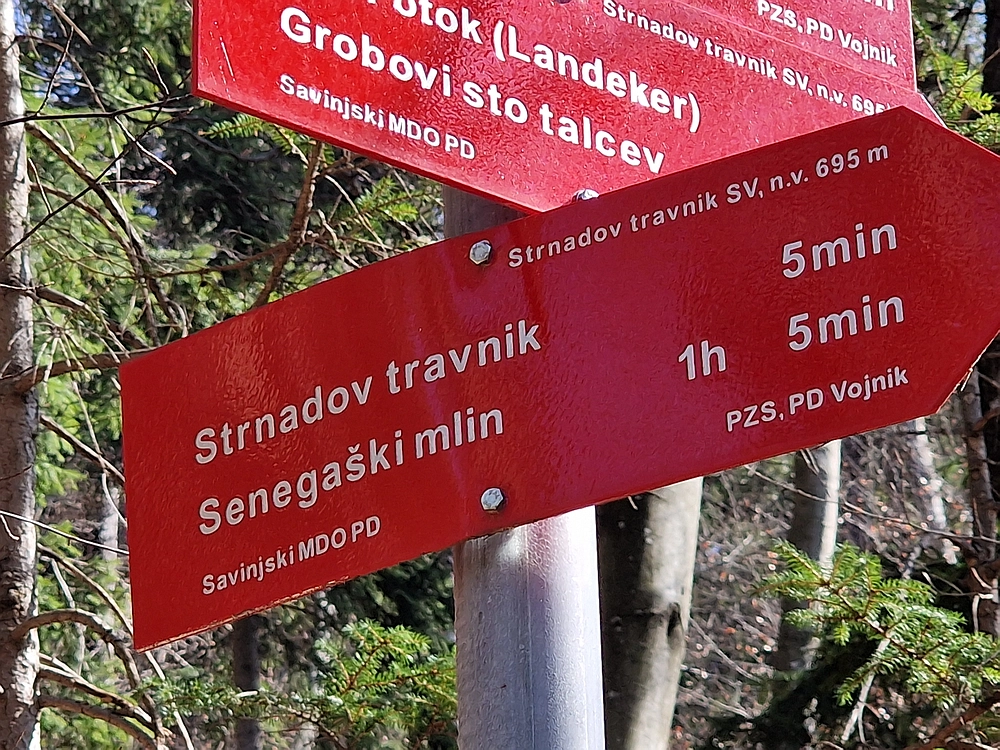 Kislica, Špičasti vrh, 8. 3. 2026