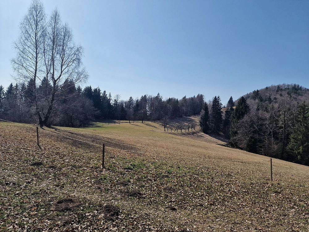 Kislica, Špičasti vrh, 8. 3. 2026