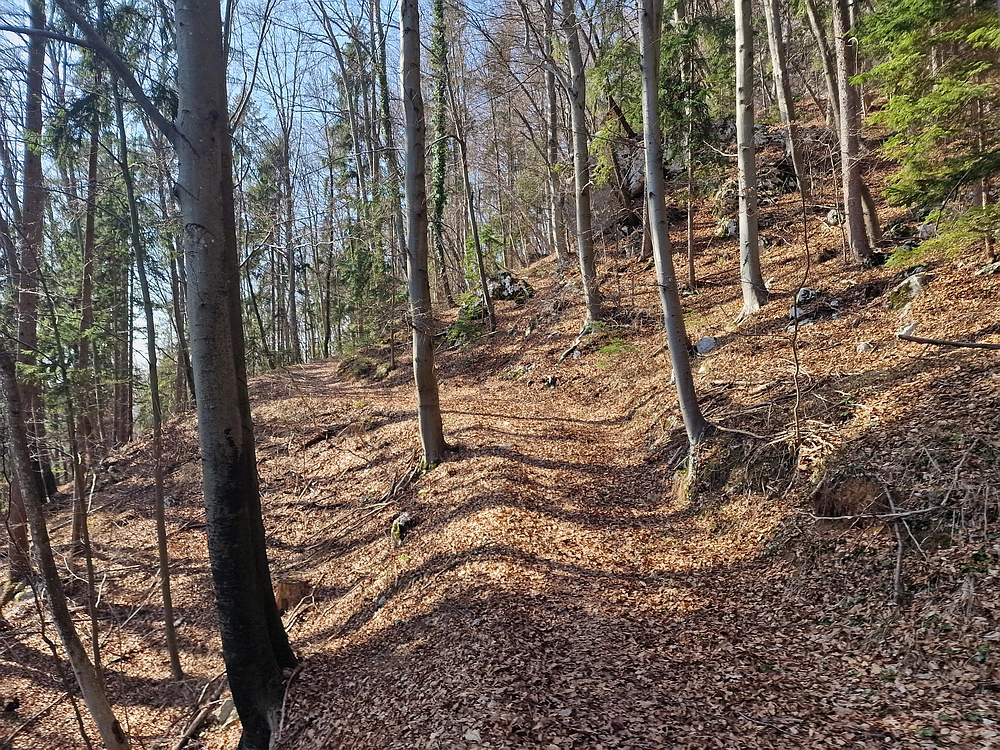 Kislica, Špičasti vrh, 8. 3. 2026