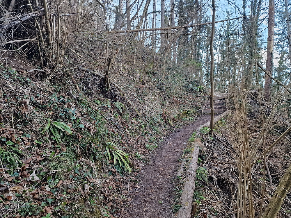 Hum nad Laškim, 14. 3. 2026