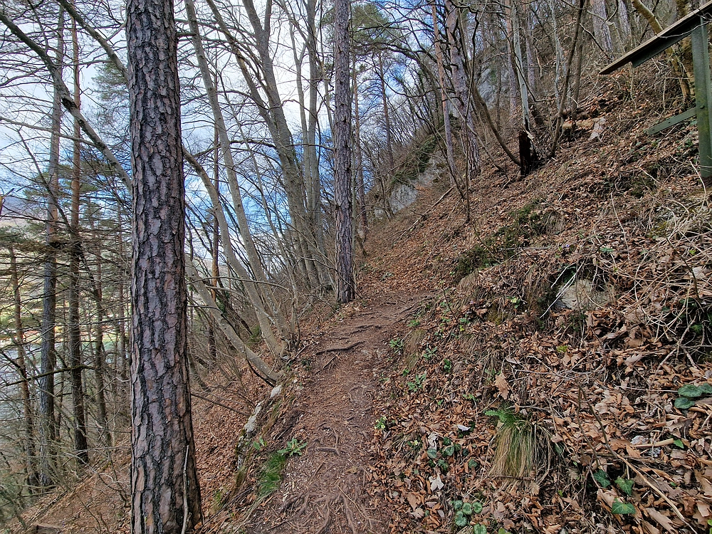 Hum nad Laškim, 14. 3. 2026