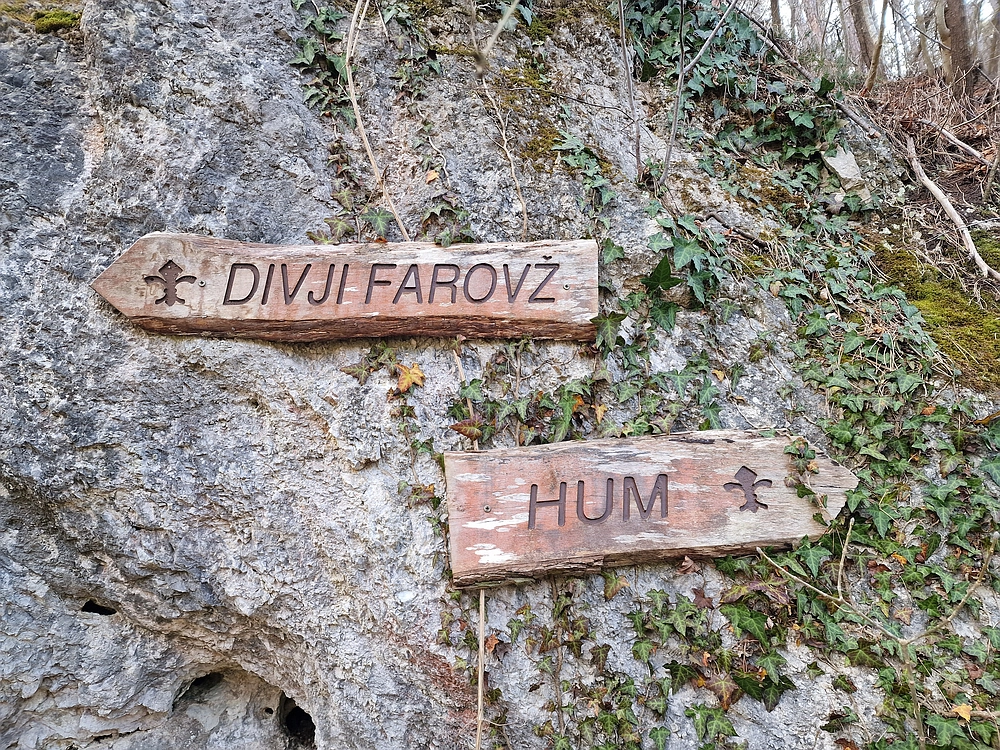 Hum nad Laškim, 14. 3. 2026