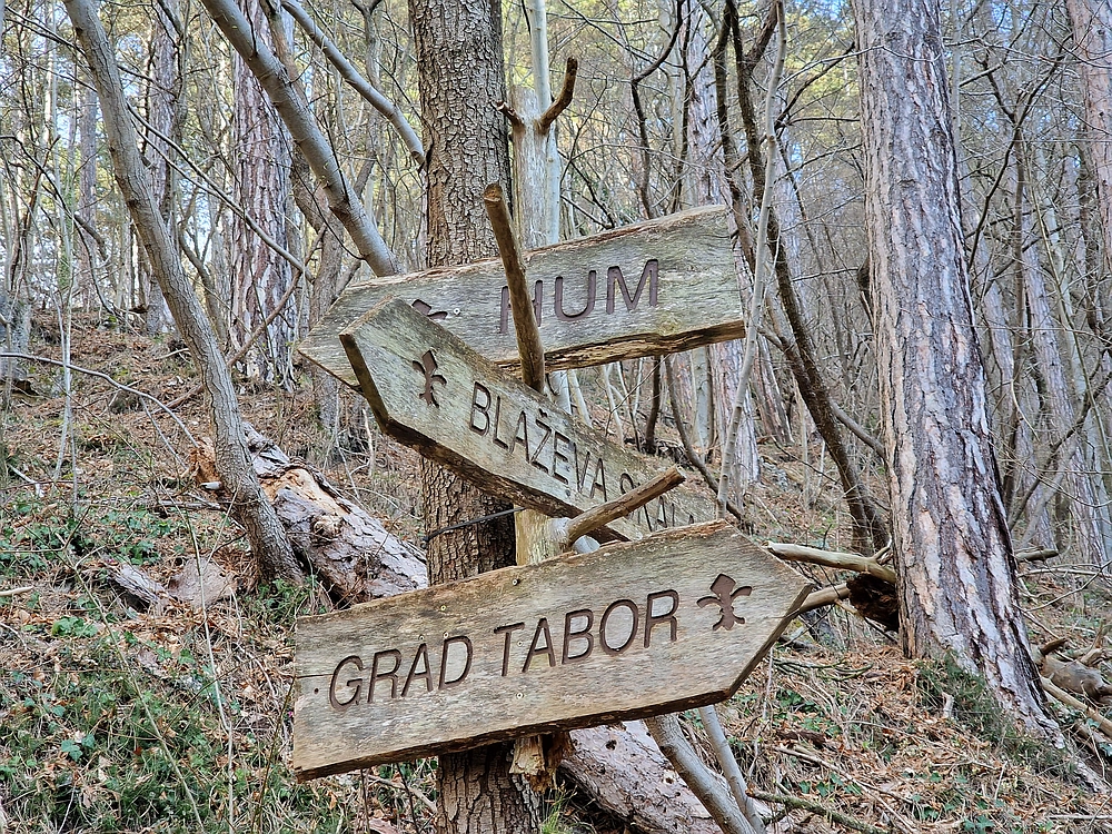 Hum nad Laškim, 14. 3. 2026