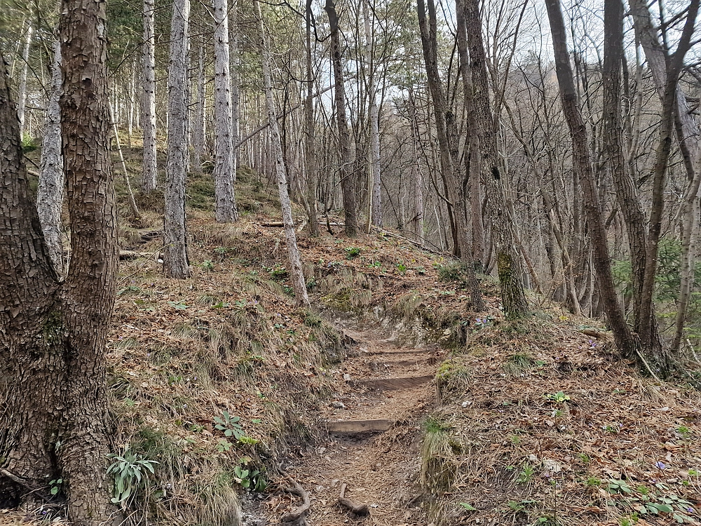 Hum nad Laškim, 14. 3. 2026