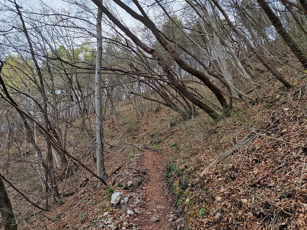Hum nad Laškim, 14. 3. 2026