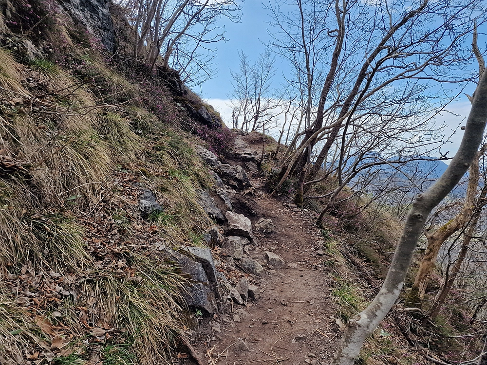 Hum nad Laškim, 14. 3. 2026