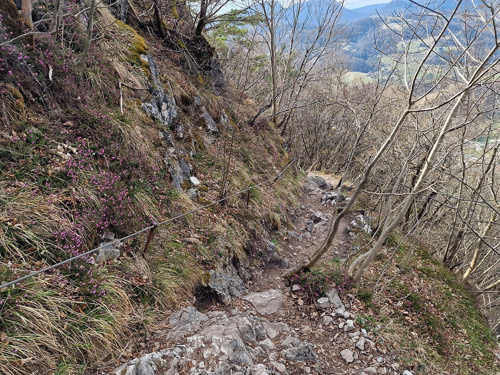 Hum nad Laškim, 14. 3. 2026