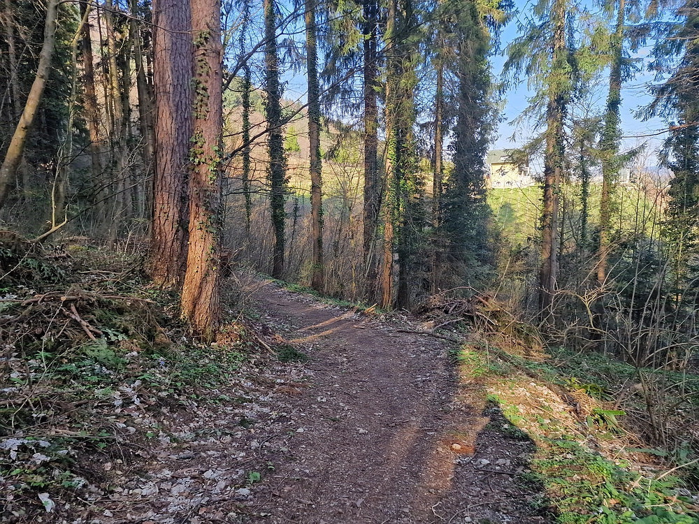 Stolpnik, 15. 3. 2026