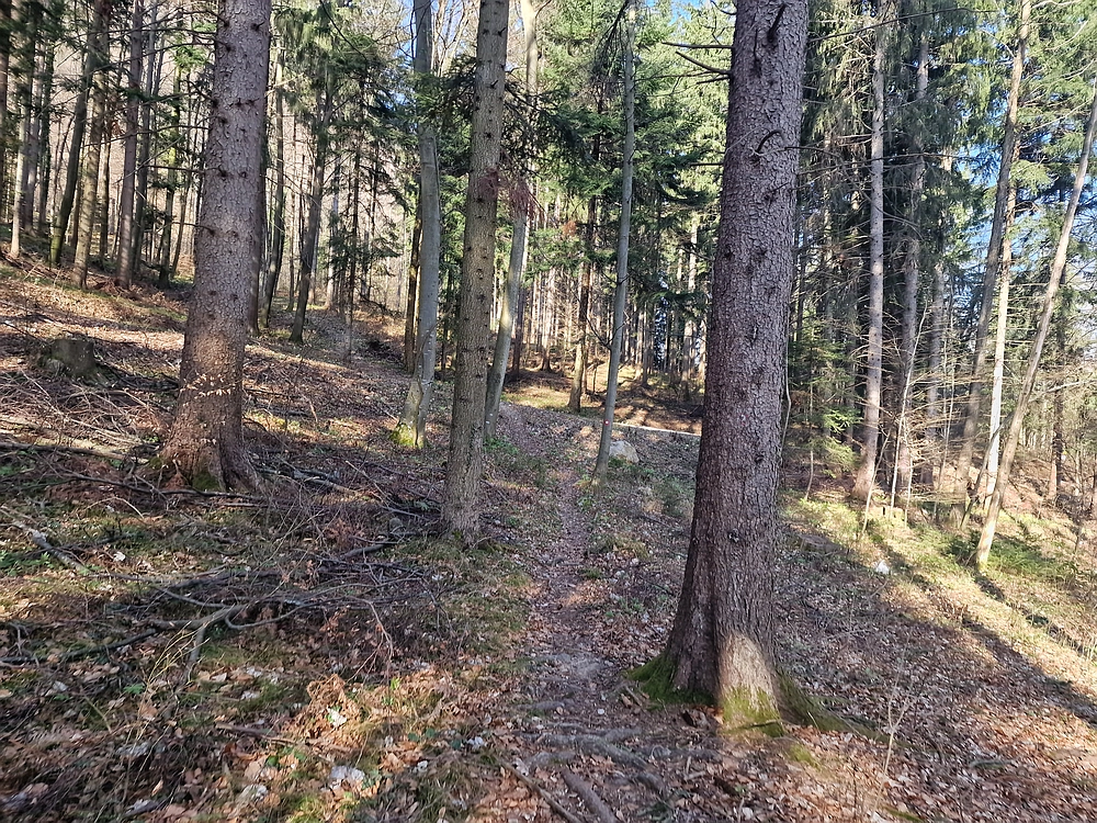 Stolpnik, 15. 3. 2026