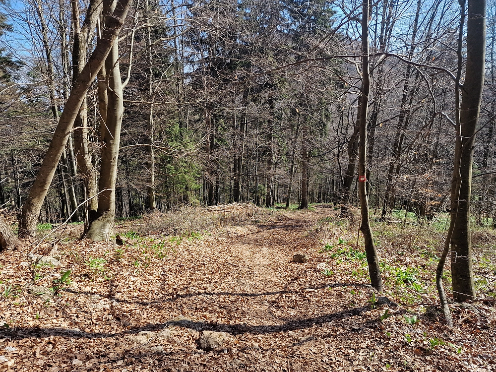 Stolpnik, 15. 3. 2026