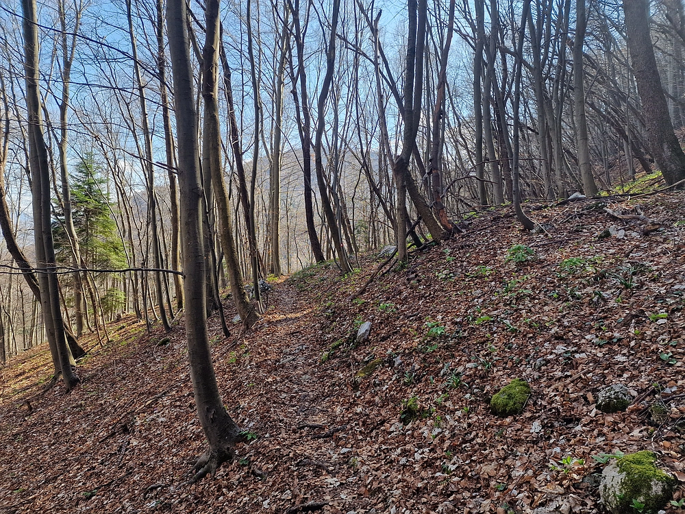 Stolpnik, 15. 3. 2026