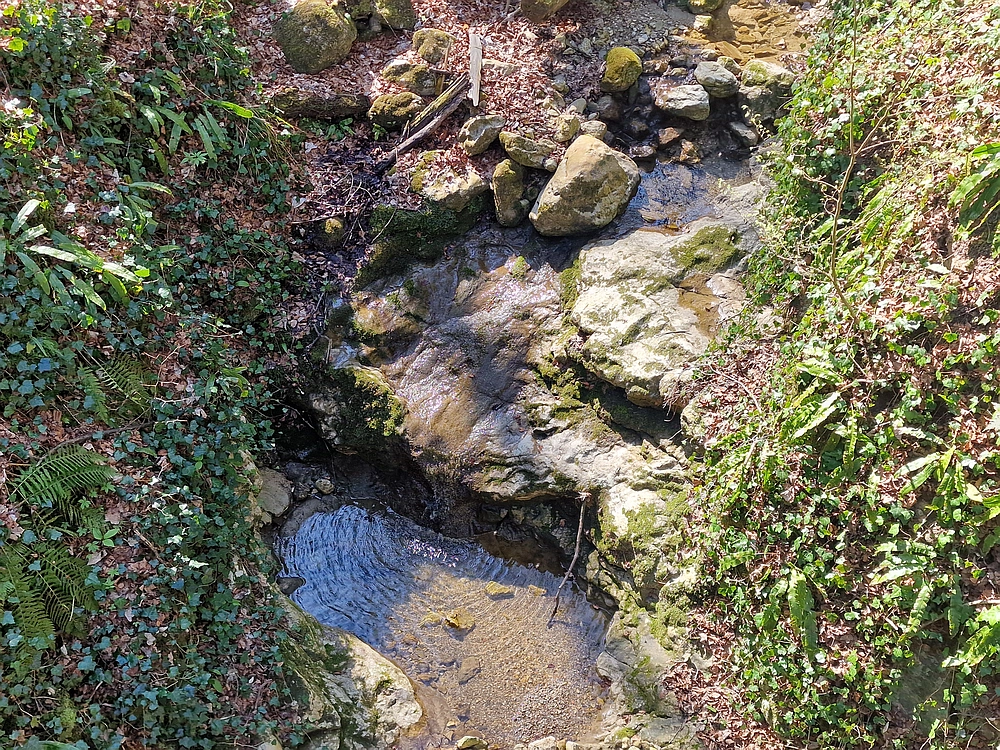 Stolpnik, 15. 3. 2026