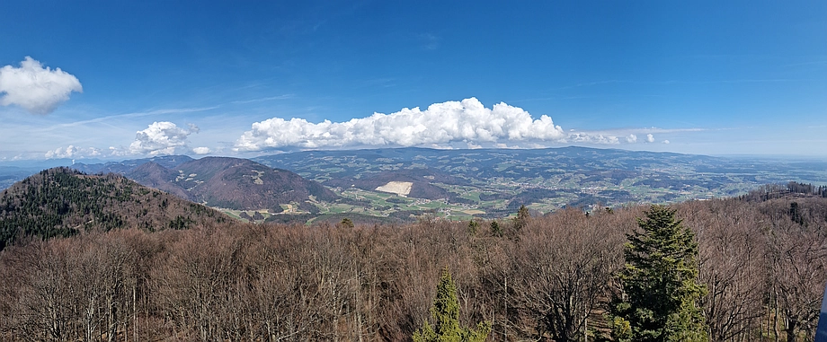 Pogled proti Pohorju