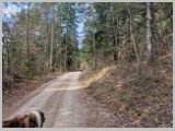 Slika_002.webp