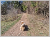 Slika_007.webp