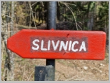 Slika_008.webp