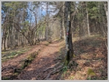 Slika_009.webp
