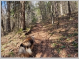 Slika_010.webp