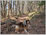 Slika_011.webp