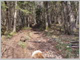 Slika_013.webp