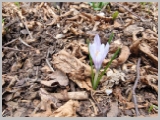 Slika_015.webp