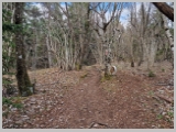 Slika_017.webp