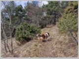 Slika_022.webp