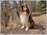 Slika_028.webp