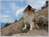 Slika_035.webp